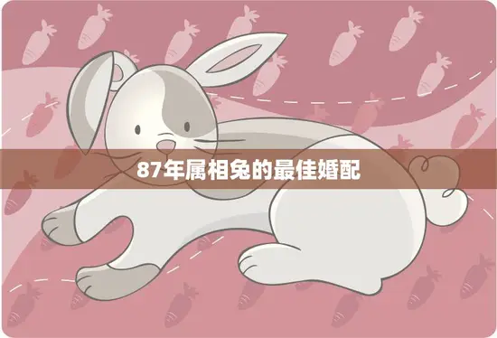 87年属相兔的最佳婚配(如何选择最适合的伴侣)