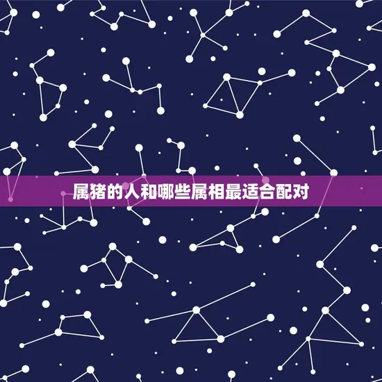 属猪的人和哪些属相最适合配对