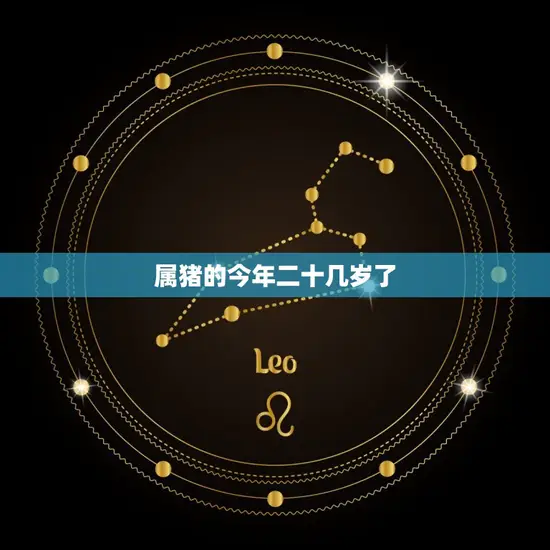 属猪的今年二十几岁了