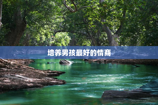 培养男孩最好的情商