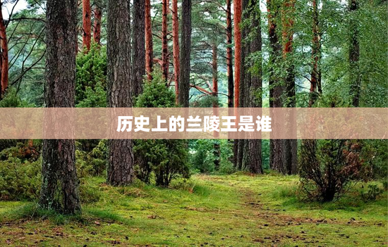 历史上的兰陵王是谁