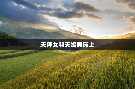 天秤女和天蝎男床上