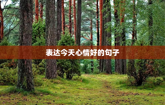 表达今天心情好的句子