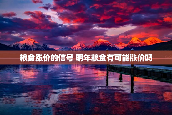 粮食涨价的信号 明年粮食有可能涨价吗