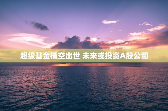 超级基金横空出世 未来或投资A股公司