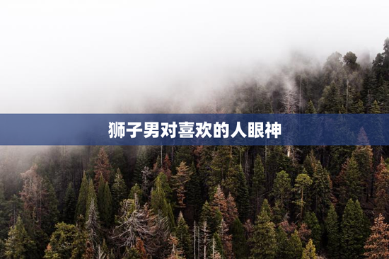 狮子男对喜欢的人眼神