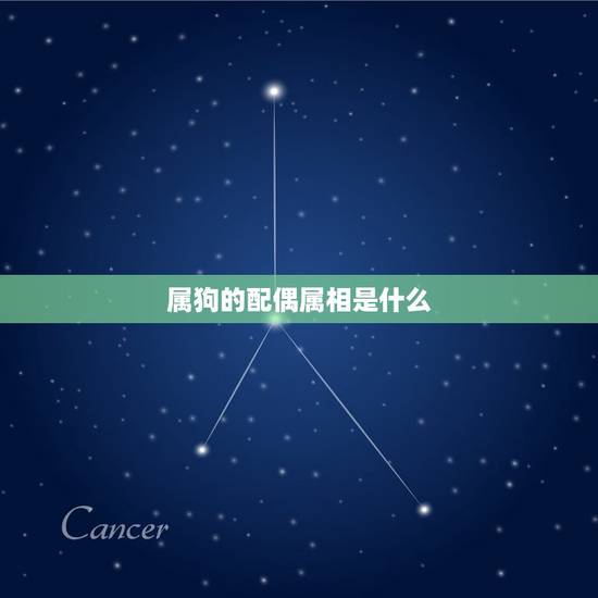 属狗的配偶属相是什么(十二生肖配对大全)