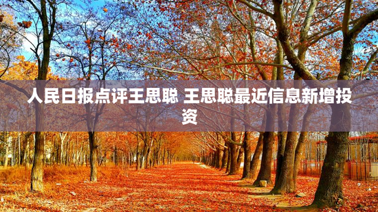 人民日报点评王思聪 王思聪最近信息新增投资