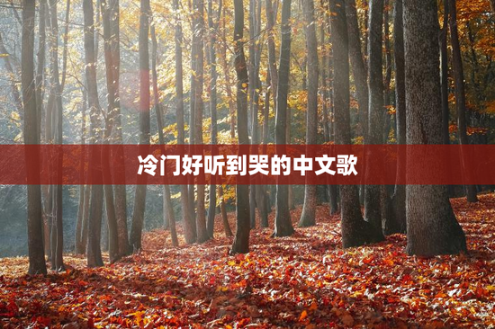 冷门好听到哭的中文歌