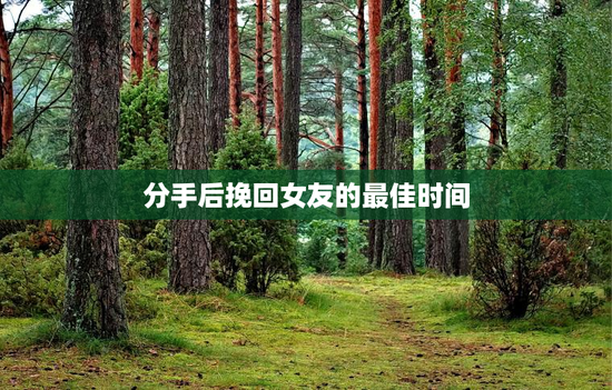分手后挽回女友的最佳时间