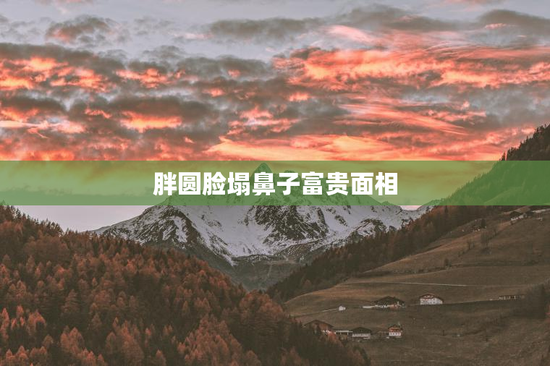 胖圆脸塌鼻子富贵面相