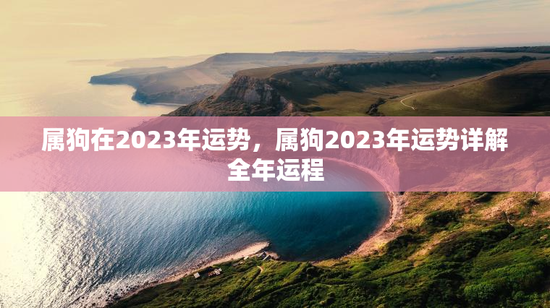 属狗在2023年运势，属狗2023年运势详解全年运程