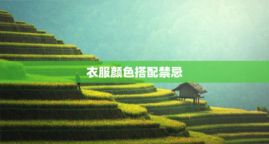 衣服颜色搭配禁忌