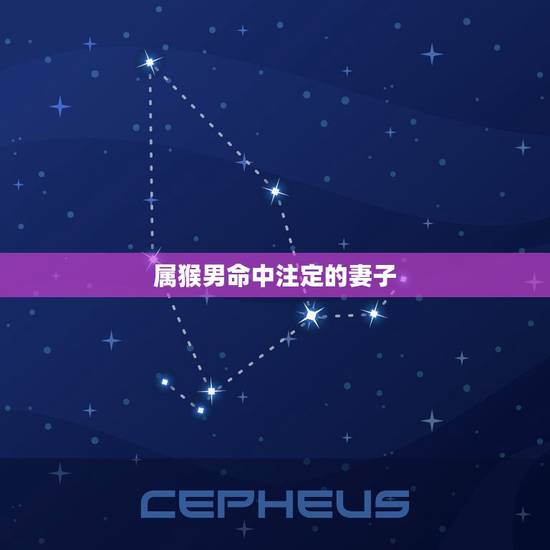 属猴男命中注定的妻子(根据八字命理分析)