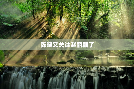 陈晓又关注赵丽颖了