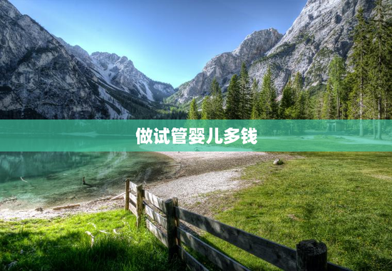 做试管婴儿多钱