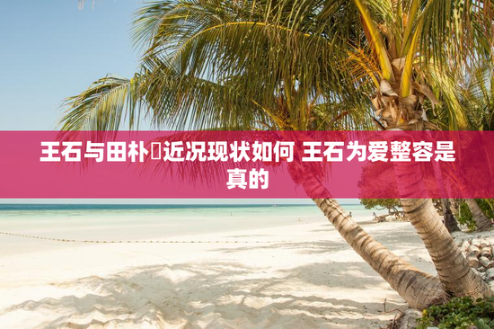 王石与田朴珺近况现状如何 王石为爱整容是真的
