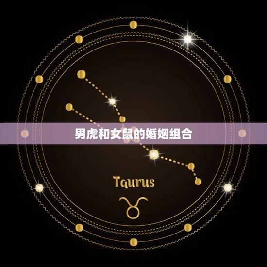 男虎和女鼠的婚姻组合