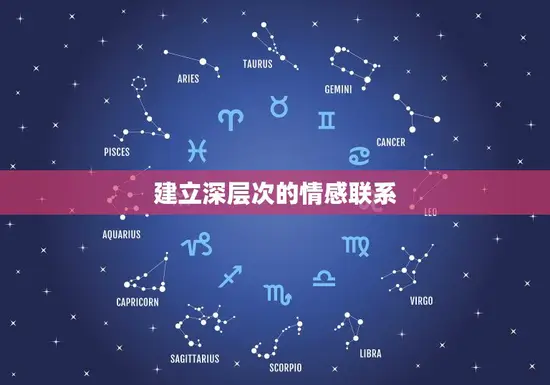 建立深层次的情感联系