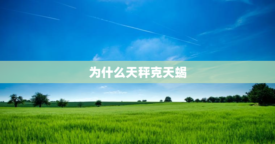 为什么天秤克天蝎