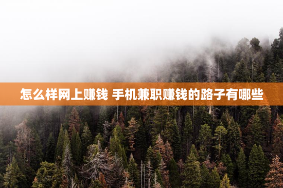 怎么样网上赚钱 手机兼职赚钱的路子有哪些