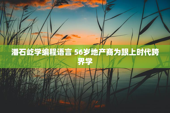 潘石屹学编程语言 56岁地产商为跟上时代跨界学