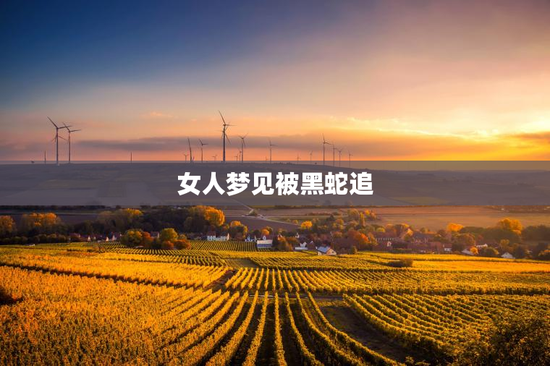女人梦见被黑蛇追