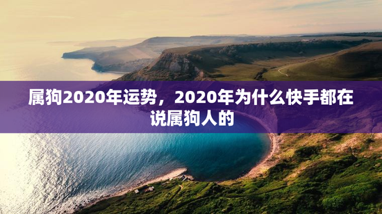 属狗2020年运势，2020年为什么快手都在说属狗人的