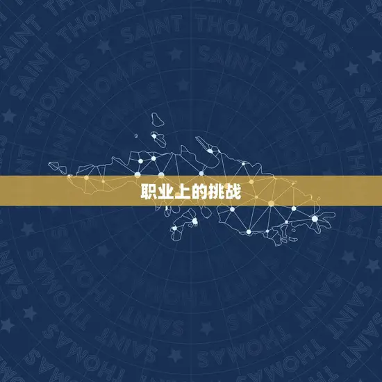职业上的挑战