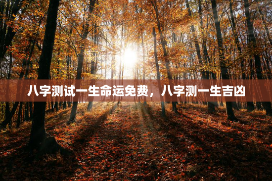 八字测试一生命运免费，八字测一生吉凶