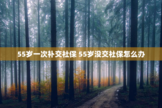 55岁一次补交社保 55岁没交社保怎么办