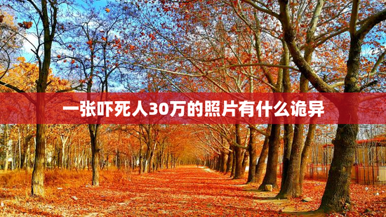 一张吓死人30万的照片有什么诡异