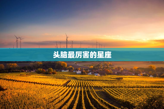 头脑最厉害的星座