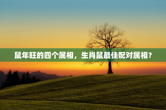 鼠年旺的四个属相，生肖鼠最佳配对属相？