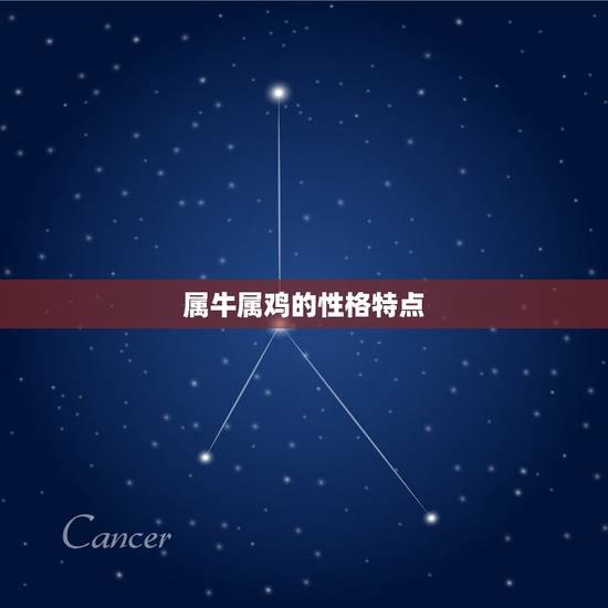 属牛属鸡的性格特点