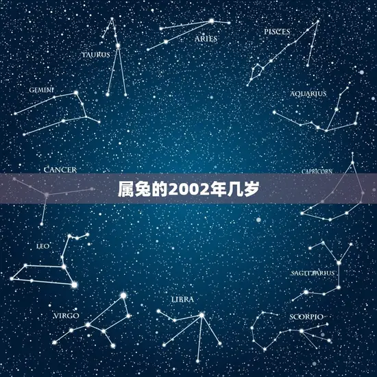 属兔的2002年几岁