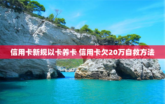 信用卡新规以卡养卡 信用卡欠20万自救方法