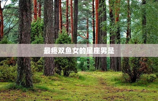 最疼双鱼女的星座男是
