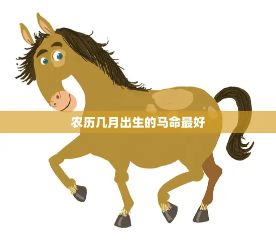 农历几月出生的马命最好(揭秘马年吉祥生肖月份)