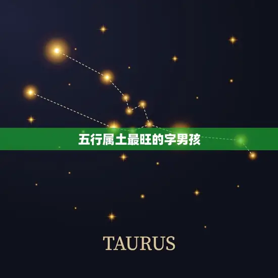 五行属土最旺的字男孩