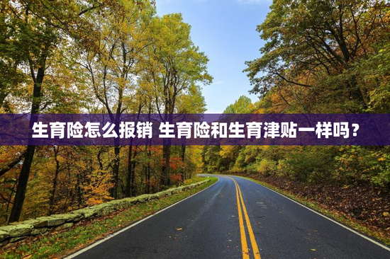 生育险怎么报销 生育险和生育津贴一样吗？