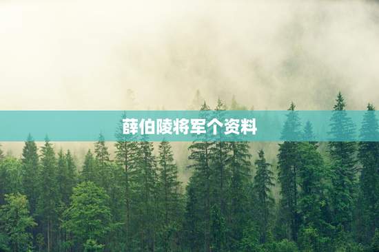 薛伯陵将军个资料