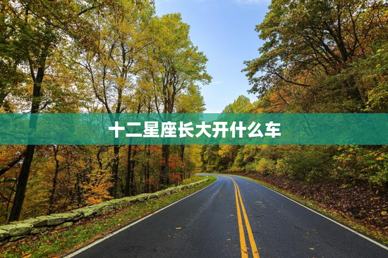 十二星座长大开什么车
