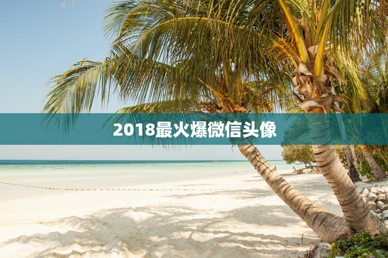 2018最火爆微信头像