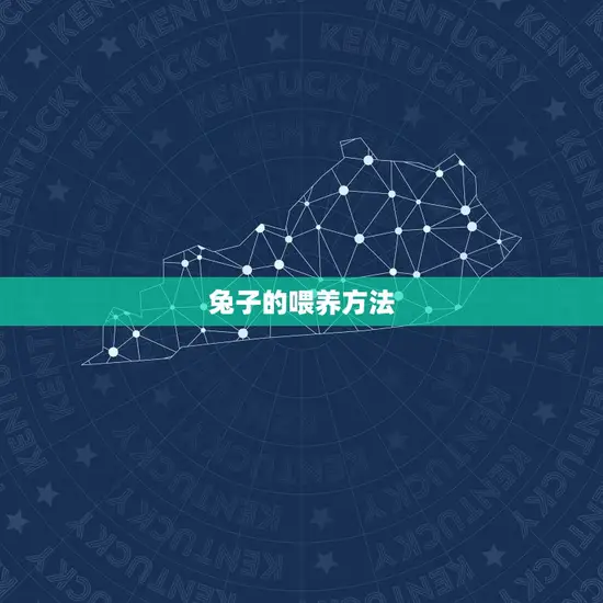 兔子的喂养方法