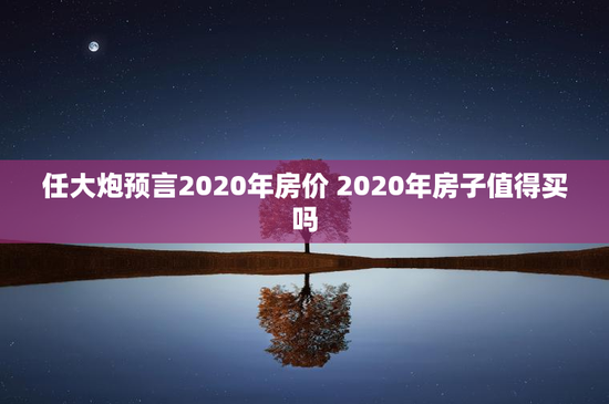 任大炮预言2020年房价 2020年房子值得买吗
