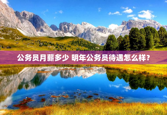 公务员月薪多少 明年公务员待遇怎么样？