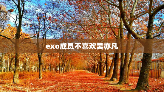 exo成员不喜欢吴亦凡