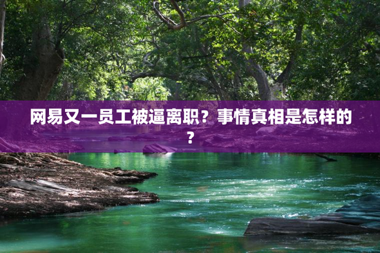 网易又一员工被逼离职？事情真相是怎样的?