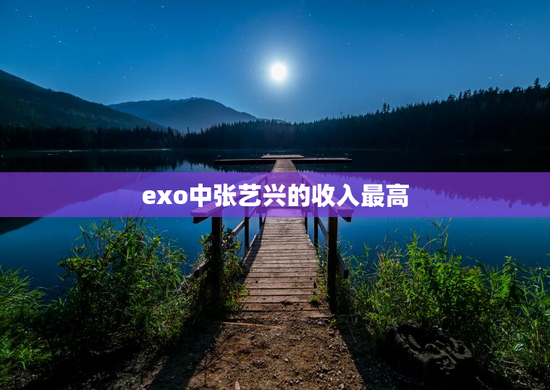exo中张艺兴的收入最高